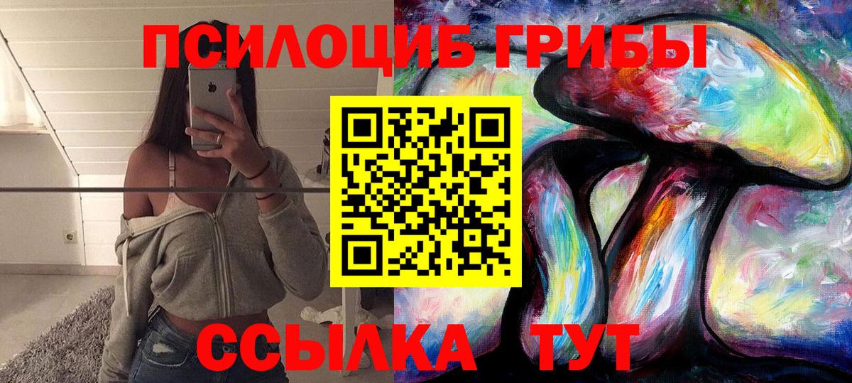 Галлюциногенные грибы Psilocybe Якутск