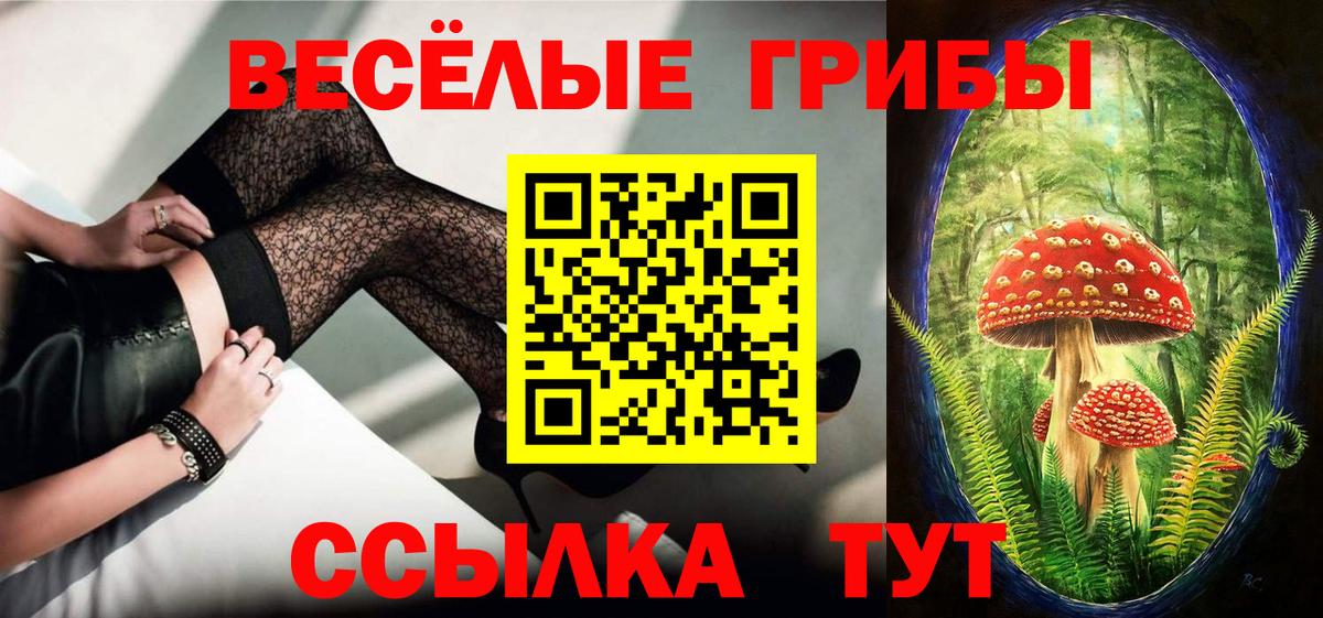 МЕФ Якутск